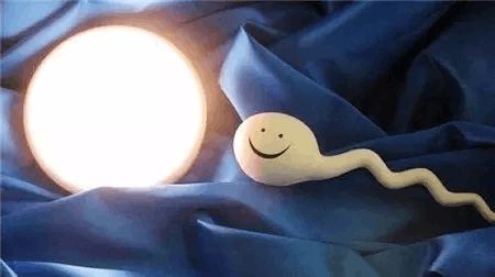 包生男孩公司试管婴儿中心